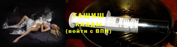 МДПВ Пересвет