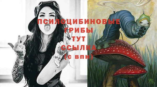 бутират Переславль-Залесский