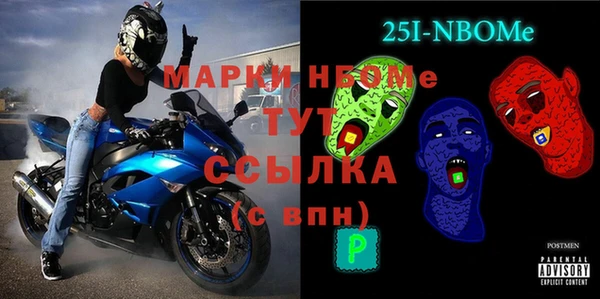 МДПВ Пересвет